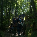 Un'immagine da un'escursione organizzata